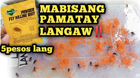 Pinakamabisang Pamatay sa Mga Langaw .